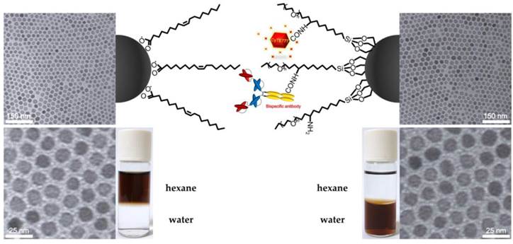 Theranostics Image