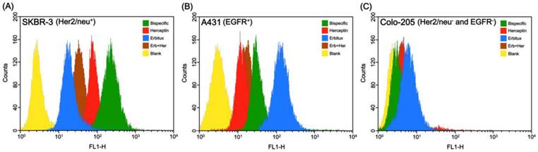 Theranostics Image