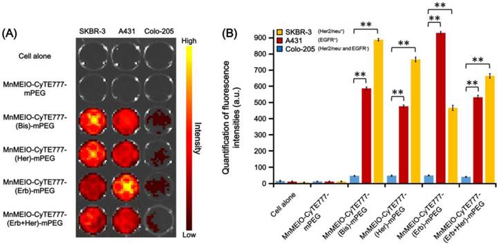 Theranostics Image