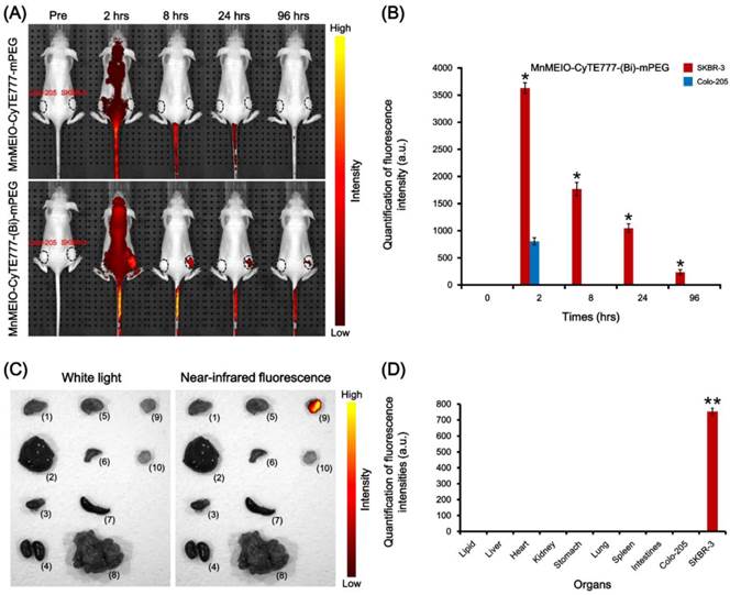 Theranostics Image