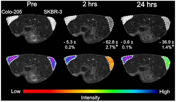 Theranostics Image