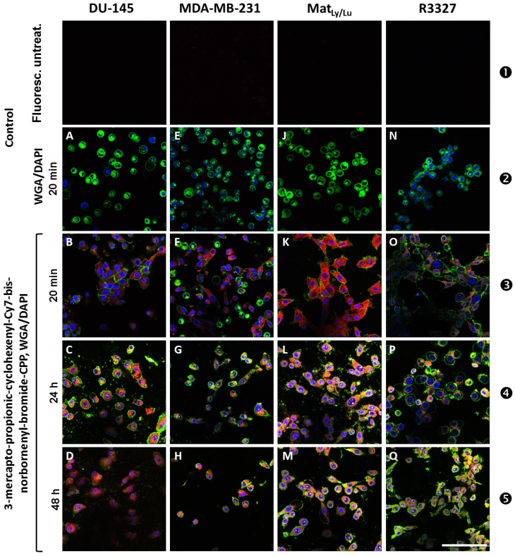 Theranostics Image