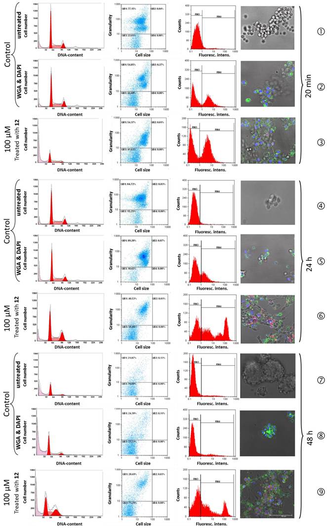 Theranostics Image