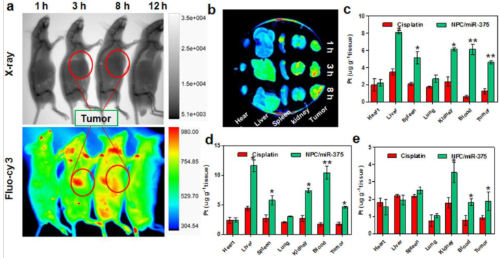 Theranostics Image