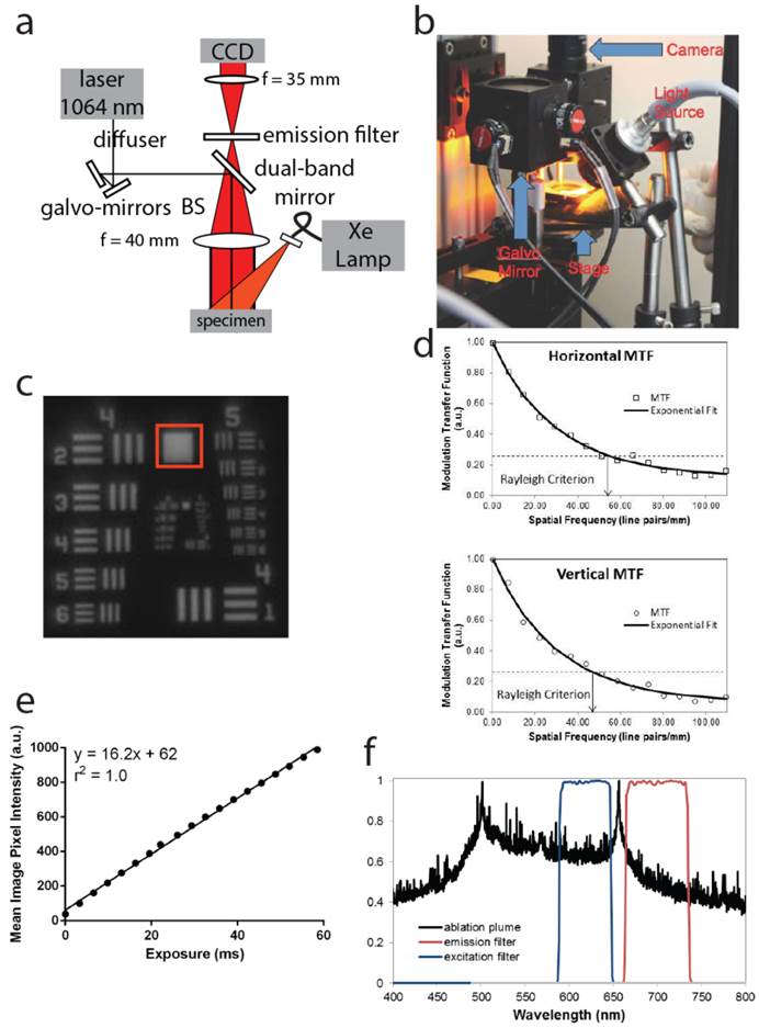 Theranostics Image