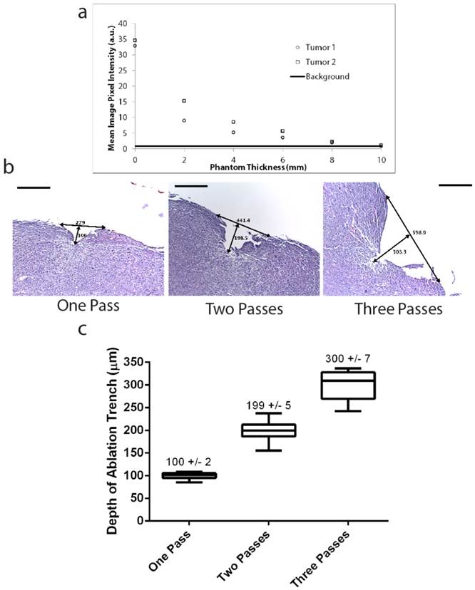 Theranostics Image