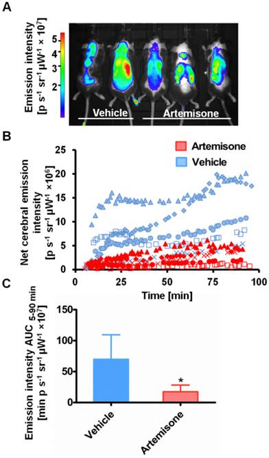 Theranostics Image