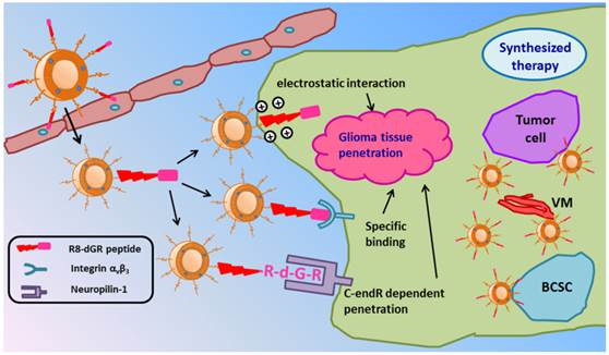 Theranostics Image