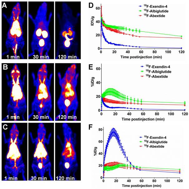 Theranostics Image