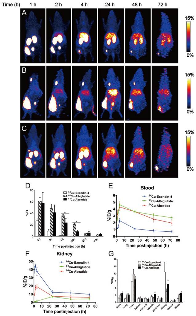 Theranostics Image