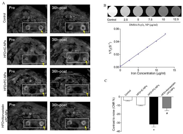 Theranostics Image