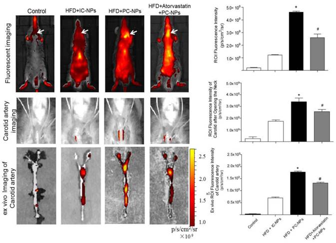 Theranostics Image