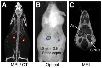 Theranostics Image