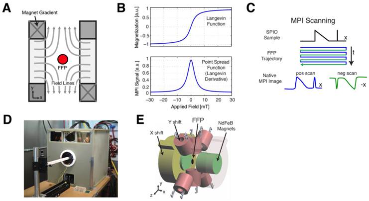 Theranostics Image