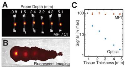 Theranostics Image