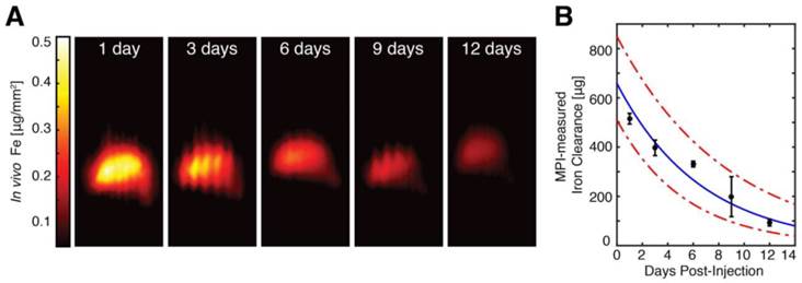 Theranostics Image