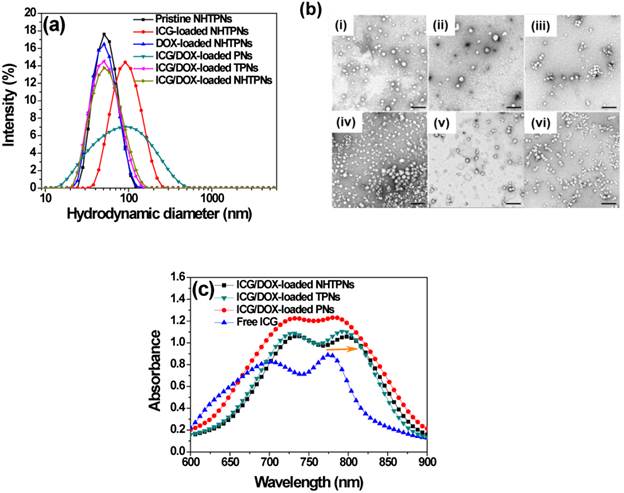 Theranostics Image