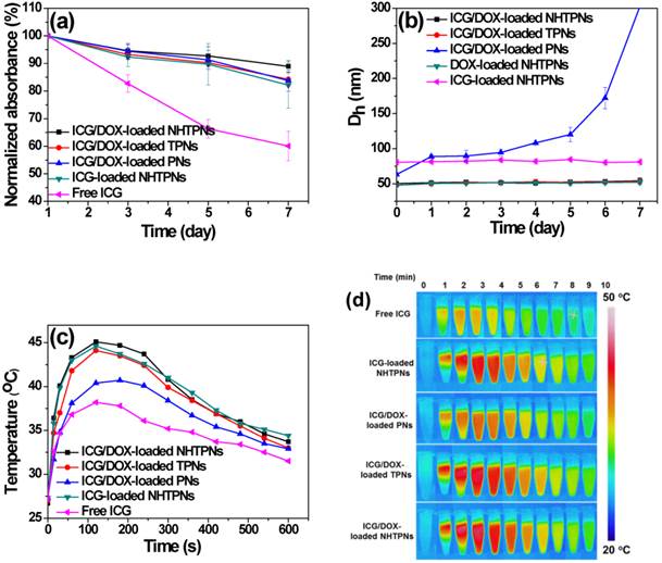 Theranostics Image