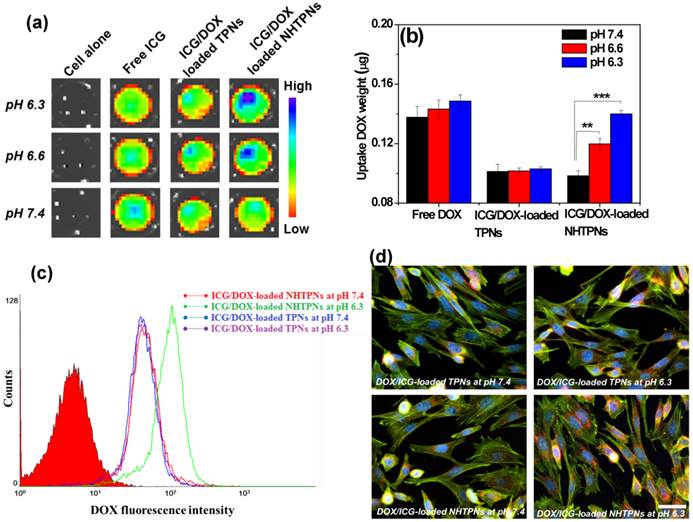 Theranostics Image