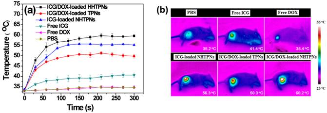 Theranostics Image