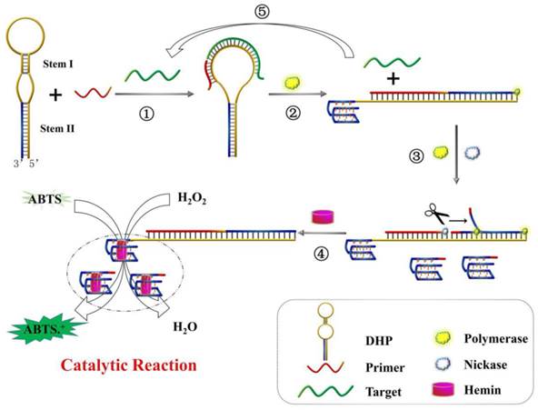 Theranostics Image