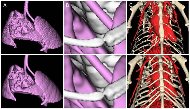 Theranostics Image