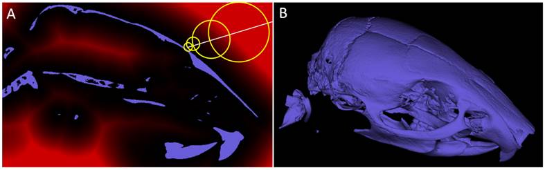 Theranostics Image