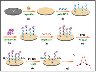 Theranostics Image