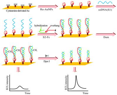 Theranostics Image