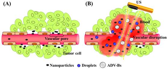 Theranostics Image