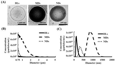 Theranostics Image