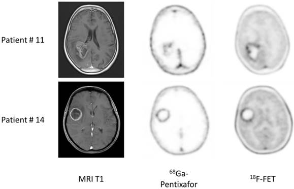 Theranostics Image