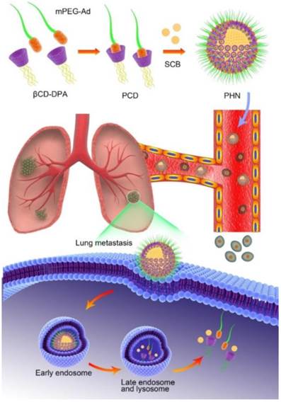 Theranostics Image