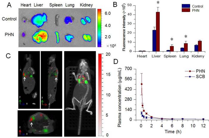 Theranostics Image