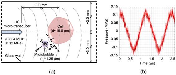 Theranostics Image