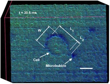 Theranostics Image