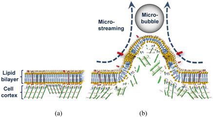 Theranostics Image