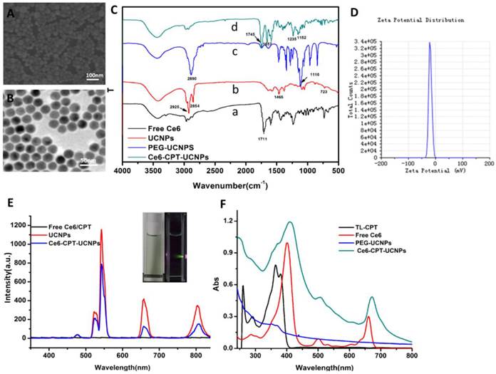 Theranostics Image