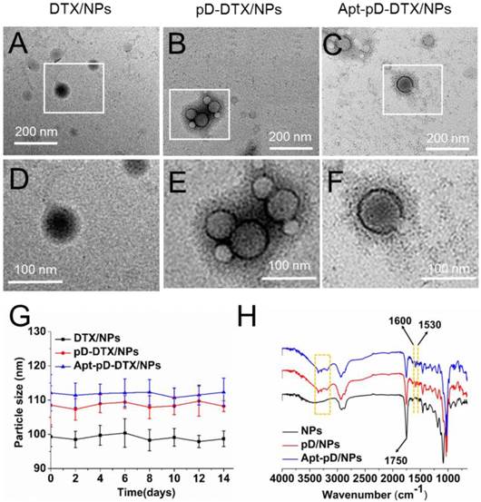 Theranostics Image