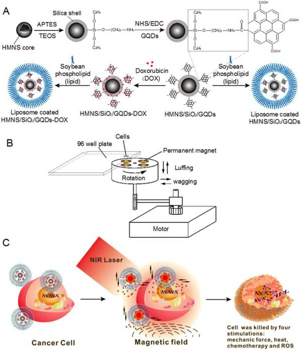 A Multimodal System with Synergistic Effects of