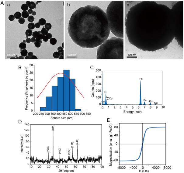 Theranostics Image