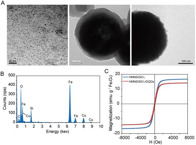 Theranostics Image