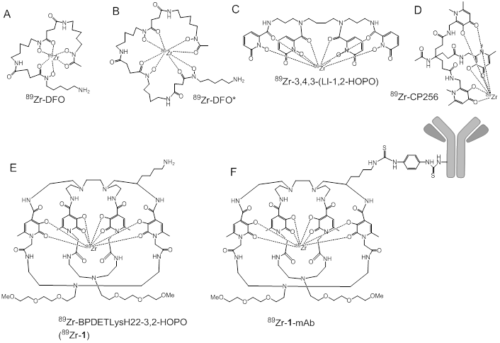 Theranostics Image