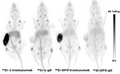 Theranostics Image