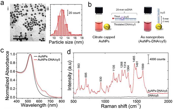 Theranostics Image