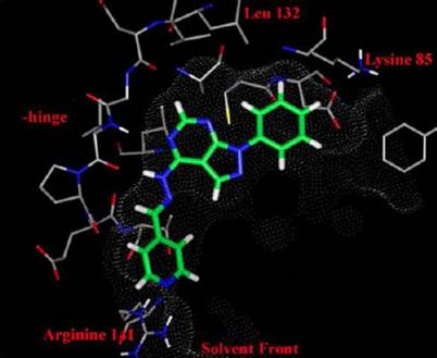 Theranostics Image