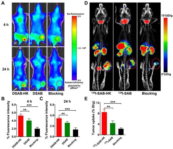 Theranostics Image