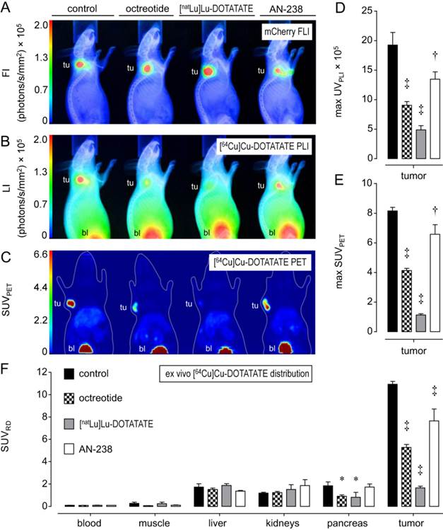 Theranostics Image