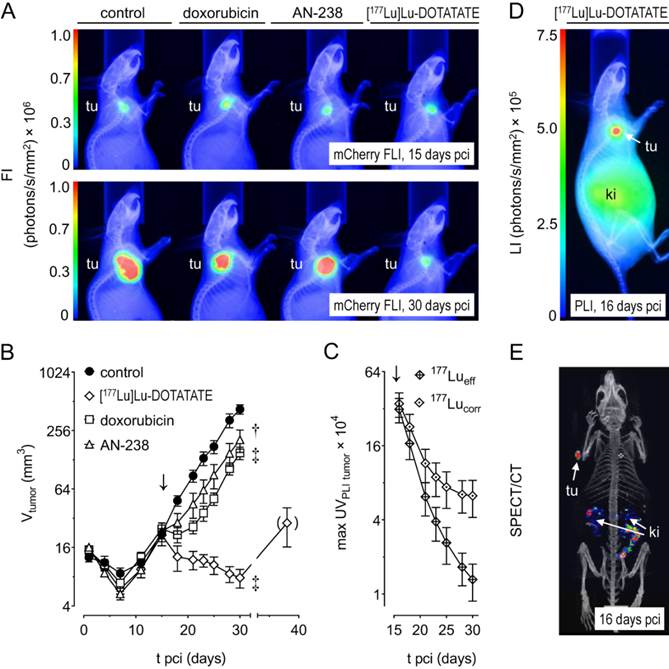 Theranostics Image