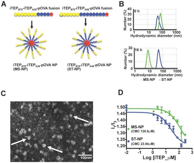 Theranostics Image